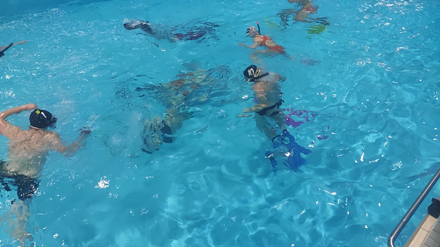 Hokej pod wodą Walenie Siemianowice Śląskie Trening 5 XI 2022. Koniec Walenia czyli Amatorska Liga Hokeja Pod Wodą